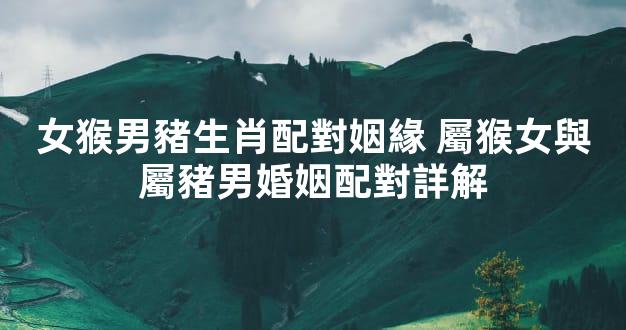 女猴男豬生肖配對姻緣 屬猴女與屬豬男婚姻配對詳解